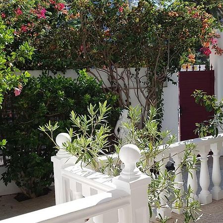 Apartamento Luminoso Con Patio Y Jardin Puerto de la Cruz  Exteriör bild