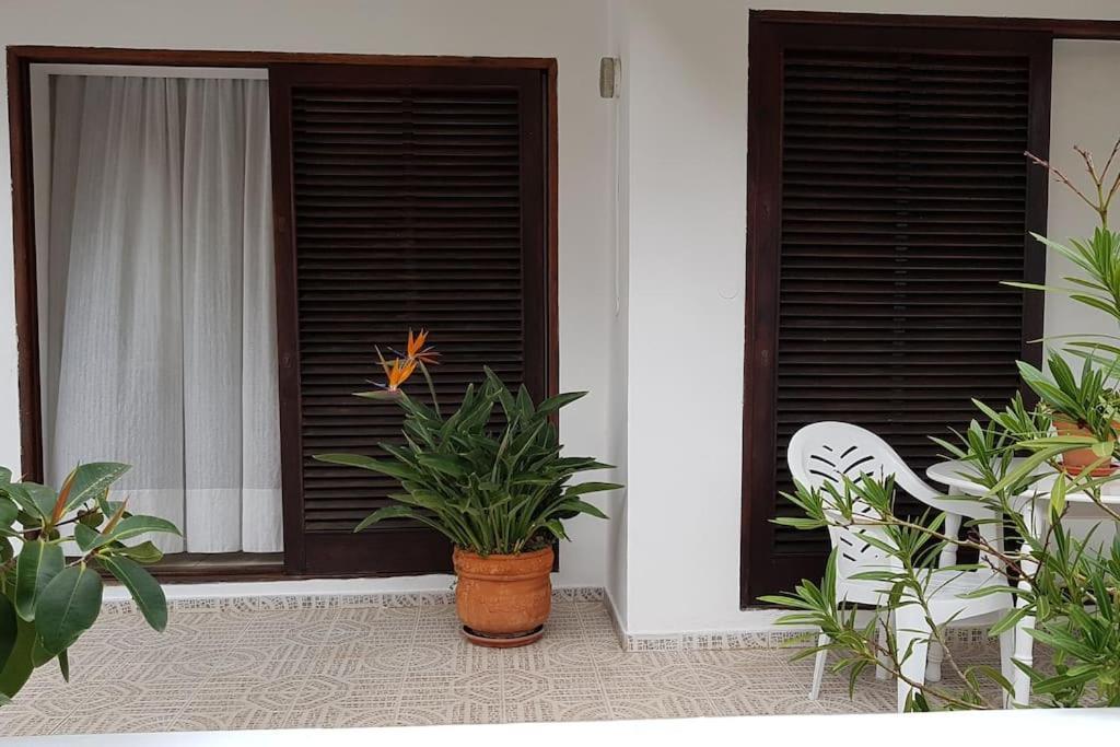 Apartamento Luminoso Con Patio Y Jardin Puerto de la Cruz  Exteriör bild