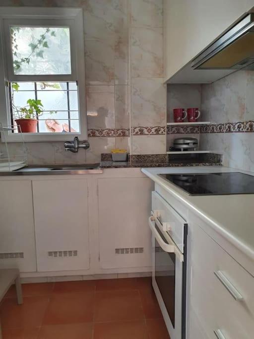 Apartamento Luminoso Con Patio Y Jardin Puerto de la Cruz  Exteriör bild
