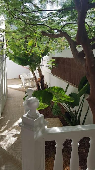 Apartamento Luminoso Con Patio Y Jardin Puerto de la Cruz  Exteriör bild