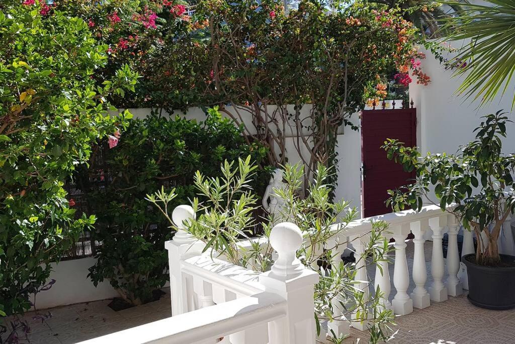 Apartamento Luminoso Con Patio Y Jardin Puerto de la Cruz  Exteriör bild