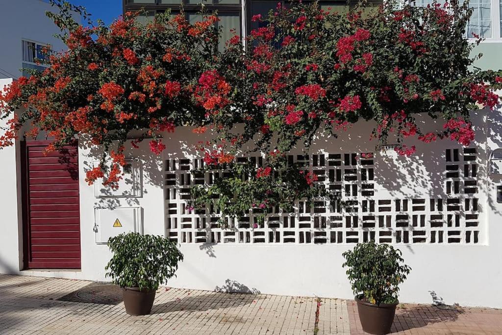 Apartamento Luminoso Con Patio Y Jardin Puerto de la Cruz  Exteriör bild